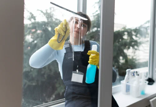 Nettoyage de vitres intérieures et extérieures à Pamplie